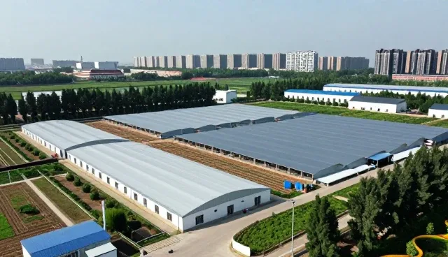 来料规格定制如何适应多变的市场环境